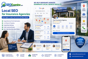 Local SEO optimization with Google Business Profile for an insurance agency.